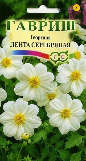 Семена цветов гавриш каталог Семена цветов гавриш каталог