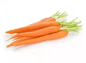 Посадка моркови на бумагу: инструкция, хитрости, советы