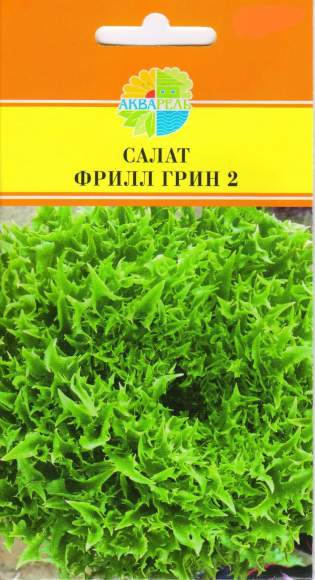  Салат листовой Фрилл грин 2 (акварель) 20шт 