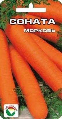 Морковь Соната (сс) 