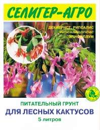 Какой грунт нужен для декабристов Какой грунт нужен для декабристов
