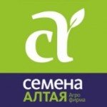 Семена Алтая