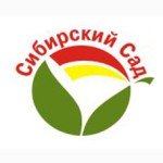 Сибирский сад Сибирский сад