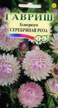 Гелихризум Серебряная роза (гавриш) 0,01 гр Гелихризум Серебряная роза (гавриш) 0,01 гр