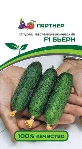 Огурец Бьерн F1 (партнер) 5 шт Огурец Бьерн F1 (партнер) 5 шт