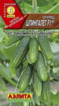 Огурец Шпингалет F1 (аэлита) 10 шт Огурец Шпингалет F1 (аэлита) 10 шт