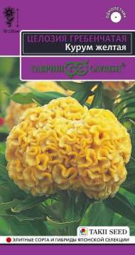 Целозия гребенчатая Курум желтая (гавриш) 8шт