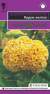 Целозия гребенчатая Курум желтая (гавриш) 8шт  – купить в г. Москва