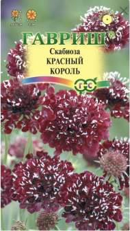Скабиоза темно-пурпурная Красный король (гавриш) 6шт Скабиоза темно-пурпурная Красный король (гавриш) 6шт