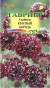 Скабиоза темно-пурпурная Красный король (гавриш) 6шт  – купить в г. Москва