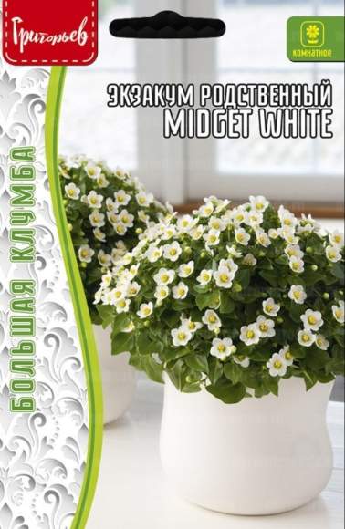 Экзакум родственный Midget white (Григорьев) 10 шт – купить в г. Москва Экзакум родственный Midget white (Григорьев) 10 шт – купить в г. Москва