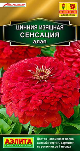 Цинния Сенсация алая (аэлита) 12 шт – купить в г. Москва Цинния Сенсация алая (аэлита) 12 шт – купить в г. Москва