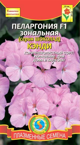 Пеларгония Шоколад кэнди F1 (п) 