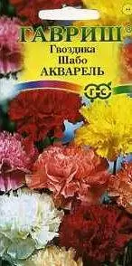 Купить семена Гвоздика Шабо Акварель (гавриш) 0,05гр — доставка по ...