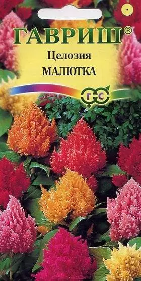 Целозия перистая Малютка (гавриш) 0,01гр 