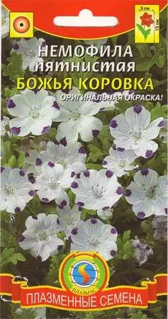 Немофила Божья коровка (плазмас) 0,2гр 