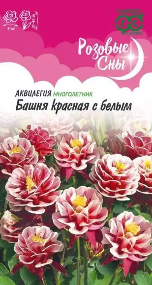 Аквилегия Башня красная с белым (гавриш) 0,05гр 
