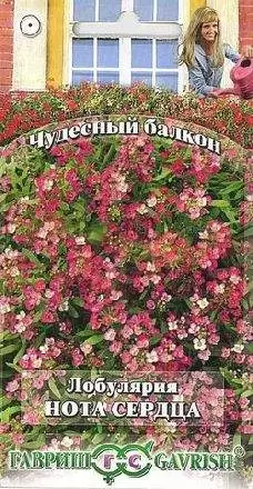 Лобулярия Нота сердца (гавриш) 0,05гр 