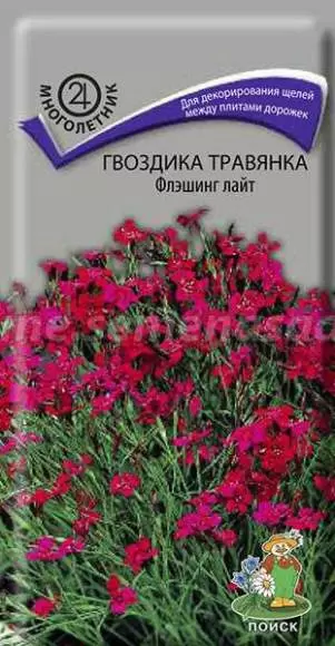 Гвоздика травянка Флэшинг Лайт (поиск) 0,1г 