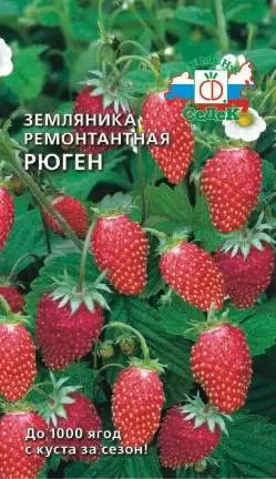 Земляника Рюген (седек) 0,04гр 