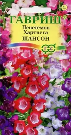 Пенстемон Хартвега Шансон (гавриш) 0,1гр 