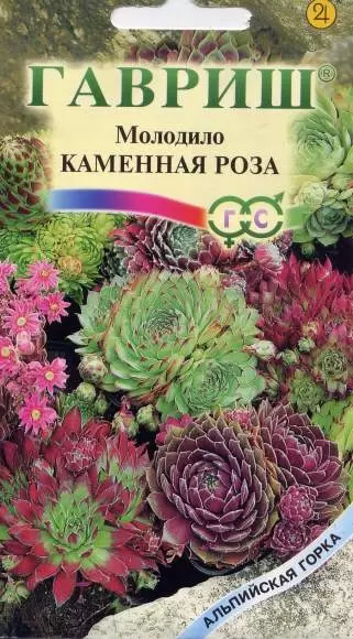 Молодило Каменная роза (гавриш) 0,01гр 