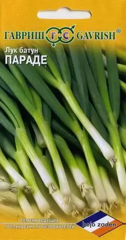 Лук батун Параде (гавриш) 0,2гр (bejo) 