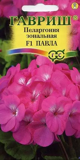 Пеларгония Павла F1 (г) 4шт 