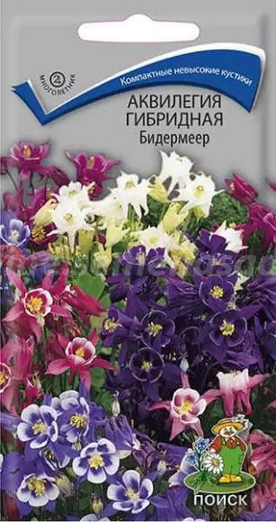 Аквилегия гибридная Бидермеер (поиск) 0,1г 