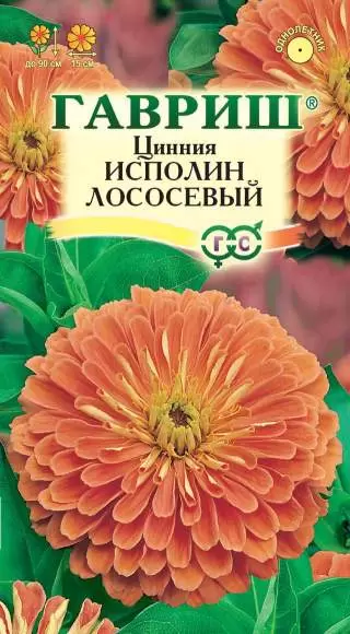 Цинния Исполин лососевый (гавриш) 0,3гр 