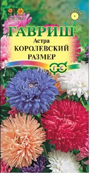 Астра Королевский размер,смесь (гавриш) 0,3гр 