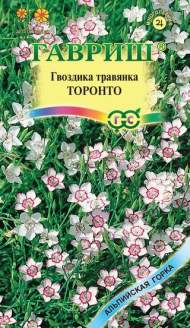 Гвоздика травянка Торонто (гавриш) 0,05гр многолетняя Гвоздика травянка Торонто (гавриш) 0,05гр многолетняя
