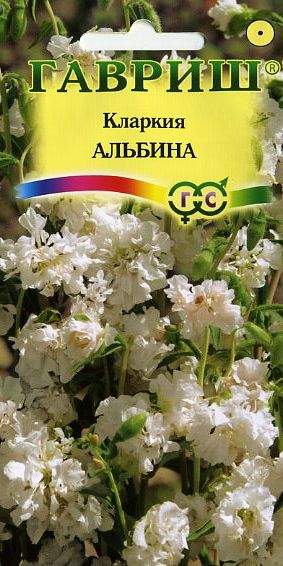 Альбина Семена Оптом Интернет Магазин