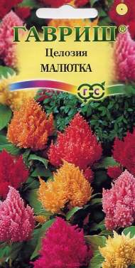 Целозия перистая Малютка (гавриш) 0,01гр Целозия перистая Малютка (гавриш) 0,01гр