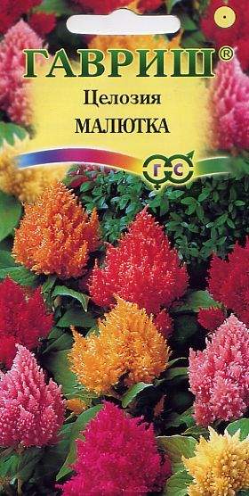 Целозия перистая Малютка (гавриш) 0,01гр 