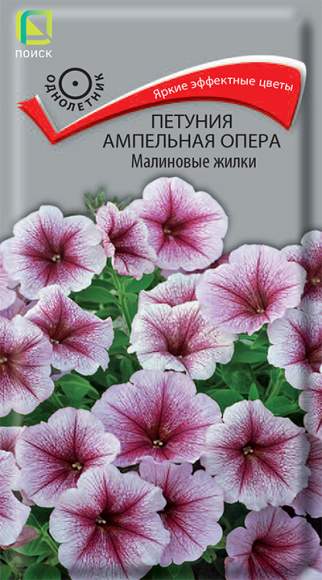Петуния ампельная опера Малиновые жилки (поиск) 5шт 