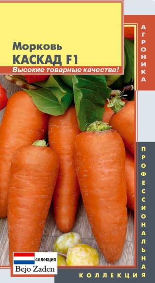  Морковь Каскад F1 (п) 140шт 