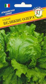 Салат кочанный Великие озера (престиж) 0,5 гр Салат кочанный Великие озера (престиж) 0,5 гр