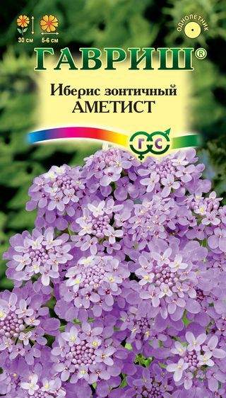 Иберис Аметист (гавриш) 0,1гр Иберис Аметист (гавриш) 0,1гр
