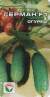 Огурец Герман F1 (сибирский сад) 5 шт  – купить в г. Москва