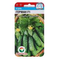 Огурец Герман F1 (сибирский сад) 5 шт Огурец Герман F1 (сибирский сад) 5 шт