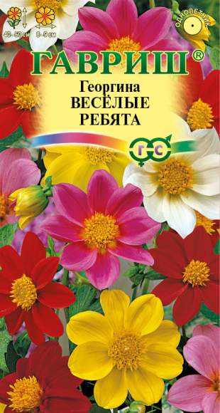 Георгина Веселые ребята (гавриш) 0,3гр  – купить в г. Москва