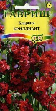 Кларкия Бриллиант (гавриш) 0,05гр Кларкия Бриллиант (гавриш) 0,05гр