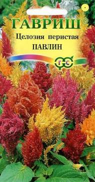 Целозия перистая Павлин (гавриш) 0,05гр Целозия перистая Павлин (гавриш) 0,05гр