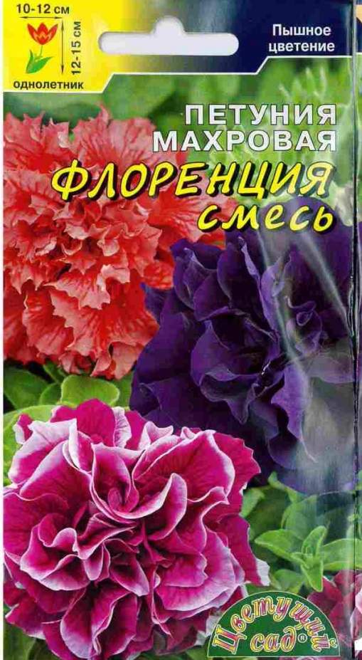 Петуния флоренция
