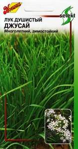 Лук душистый Джусай (дом семян) 40 шт