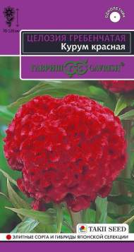 Целозия гребенчатая Курум красная (гавриш) 8шт