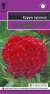Целозия гребенчатая Курум красная (гавриш) 8шт  – купить в г. Москва