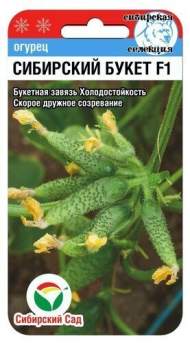 Огурец Сибирский букет F1 (сибирский сад) 7 шт