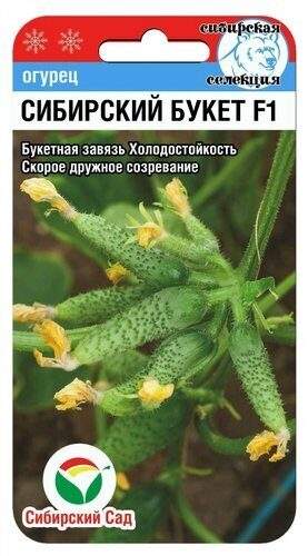 Огурец Сибирский букет F1 (сибирский сад) 7шт 